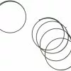 Campagnolo® Pawl Springs For Record Hub / Wheels As Of 1999 -Bike Sales 2023 187796