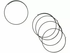 Campagnolo® Pawl Springs For Record Hub / Wheels As Of 1999