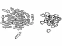 Dt-swiss RR 511 Road Rim 11 Dt-swiss RR 511 Road Rim -Bike Sales 2023 199282