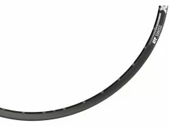 Dt-swiss X 412 Disc 29" Rim -Bike Sales 2023 215014