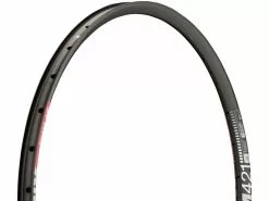 Dt-swiss XM 421 Disc 29" Rim