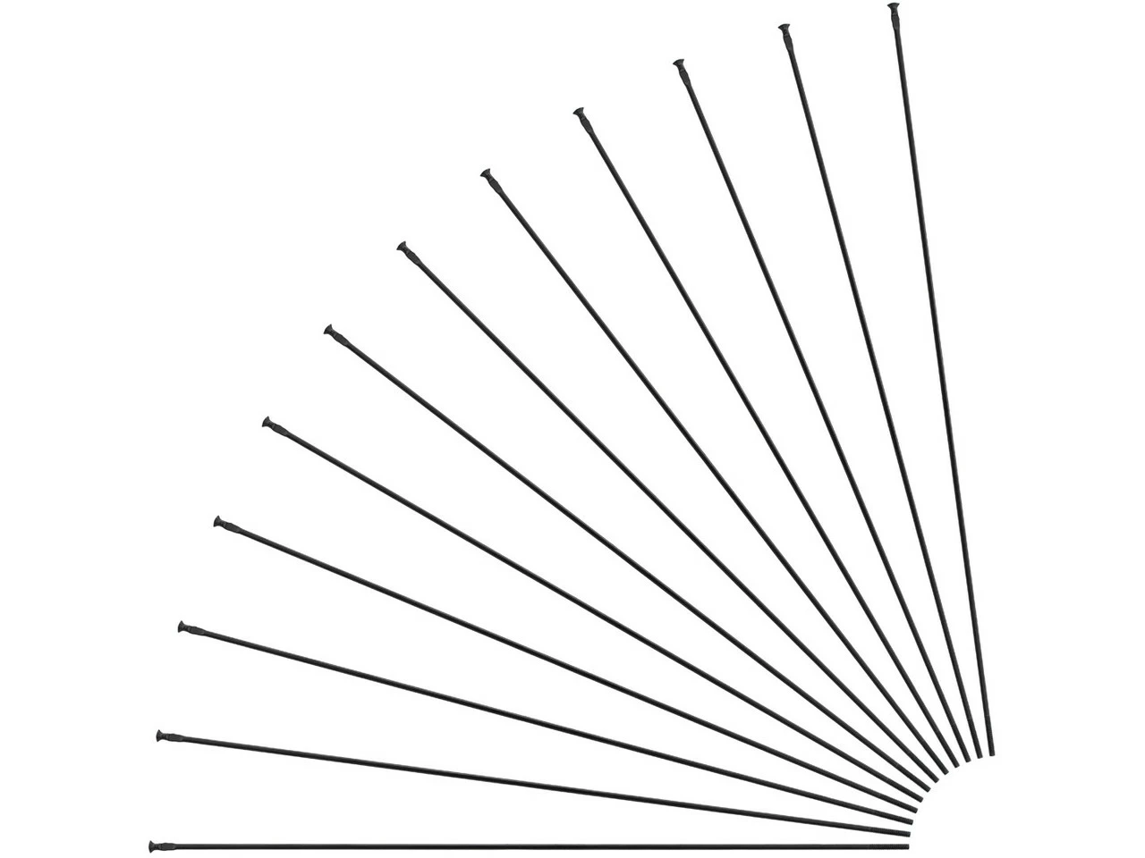 Mavic Aksium Allroad Disc 650B Spare Spokes - 2018 Model 3 Mavic Aksium Allroad Disc 650B Spare Spokes - 2018 Model