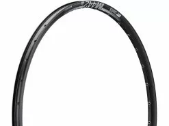 Dt-swiss M 442 Disc 29" Rim