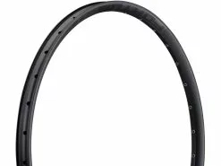 HOPE Fortus 30 Disc 29" Rim