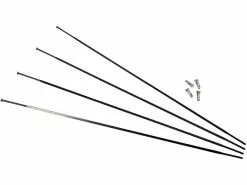 Campagnolo® Zonda Spare Spokes 2013-2016 Models