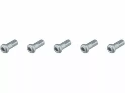 Dt-swiss Pro Lock® Hidden Aluminium 2.0 Mm Nipples - 5 Pcs.