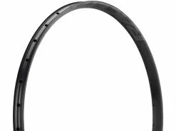 Race Face AR Offset 30 29" Rim