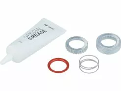 Dt-swiss EXP Freehub Maintenance Kit