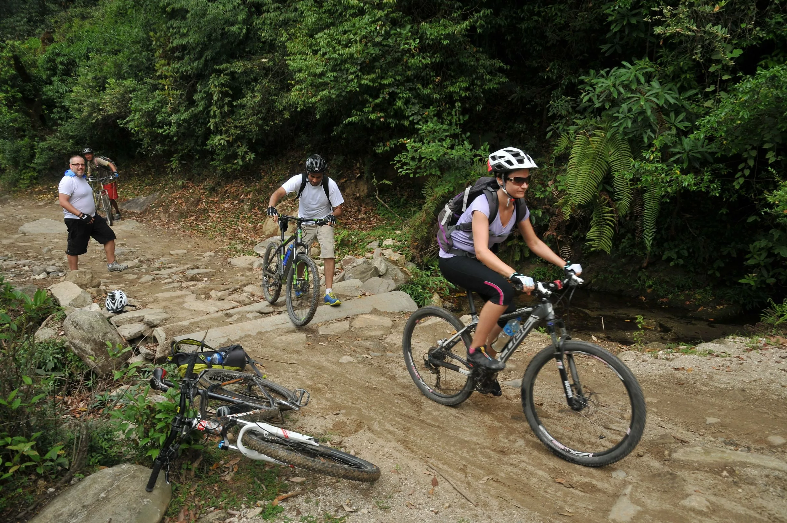 Bike Sales 2023 -Bike Sales 2023 33994d972d17cf0cf4ac551c3b429125 scaled